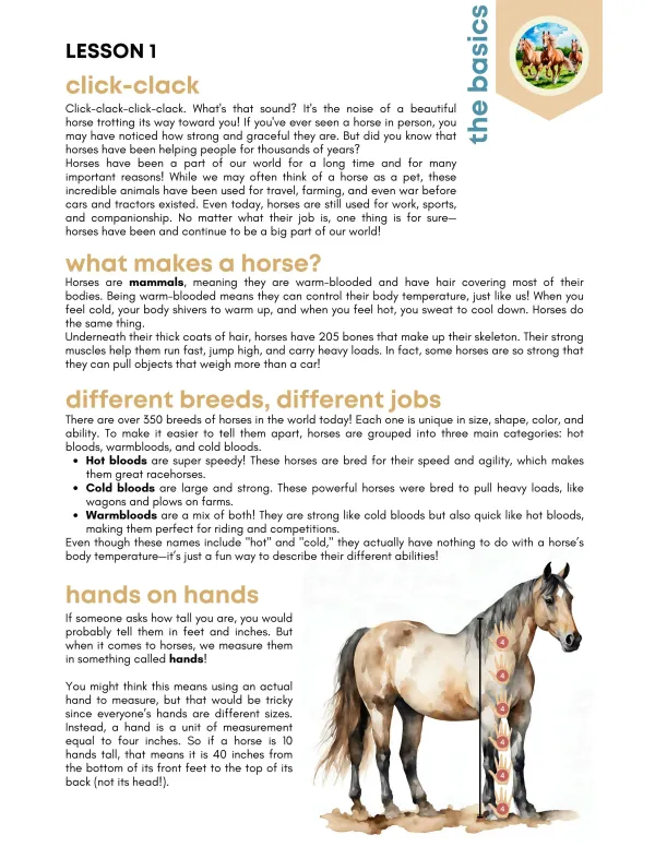 Saddles + Stallions Preview Page 6