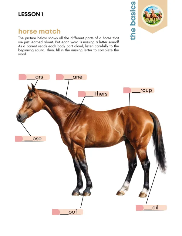 Saddles + Stallions Preview Page 8