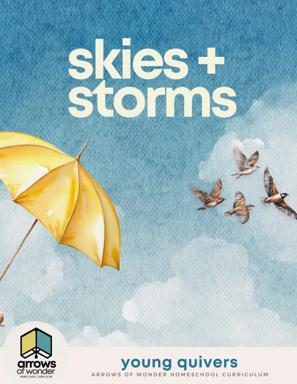 Skies + Storms