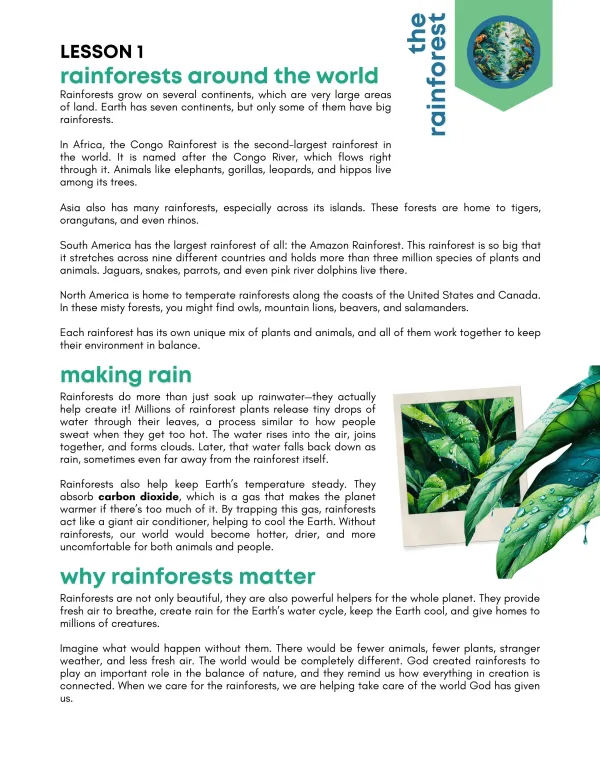 Tropics + Rainforests Preview Page 7
