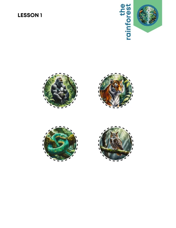 Tropics + Rainforests Preview Page 9