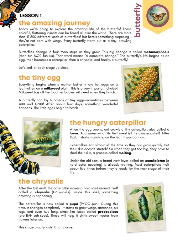 Wings + Things Preview Page 6